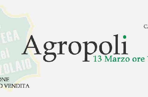 inaugurazione punto vendita agropoli
